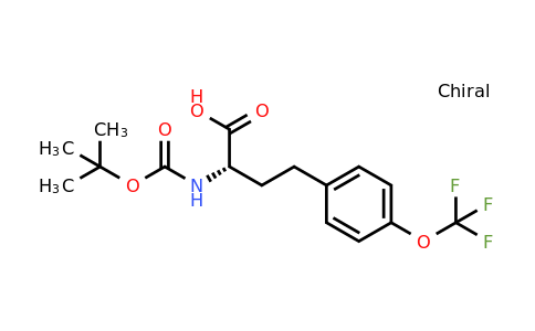 CAS 1260606-78-7 | (S)-2-Tert-butoxycarbonylamino-4-(4-trifluoromethoxy-phenyl)-butyric acid
