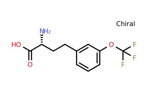 CAS 1260607-86-0 | (R)-2-Amino-4-(3-trifluoromethoxy-phenyl)-butyric acid