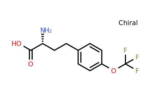 CAS 1260614-32-1 | (R)-2-Amino-4-(4-trifluoromethoxy-phenyl)-butyric acid