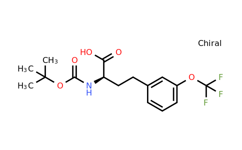 CAS 1260614-45-6 | (R)-2-Tert-butoxycarbonylamino-4-(3-trifluoromethoxy-phenyl)-butyric acid