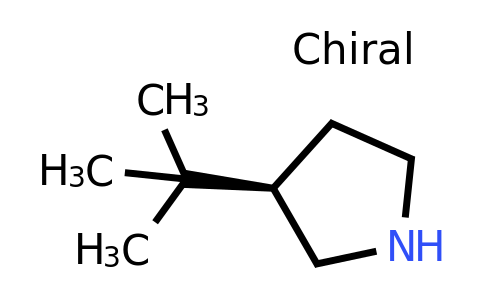 CAS 1260619-42-8 | (3R)-3-Tert-butylpyrrolidine