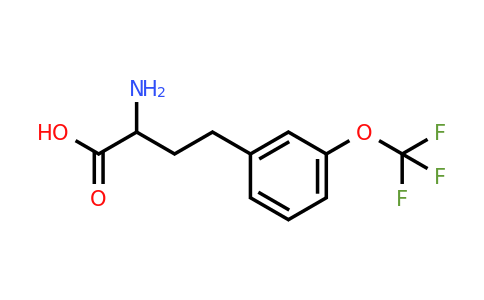 CAS 1260642-82-7 | 2-Amino-4-(3-trifluoromethoxy-phenyl)-butyric acid
