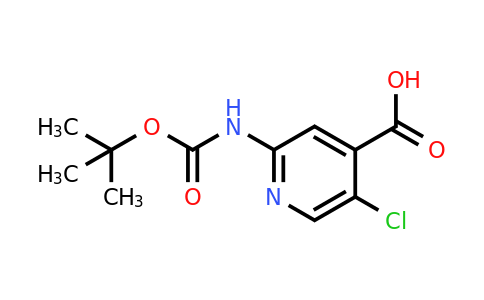CAS 1260664-53-6 | 2-[(Tert-butoxycarbonyl)amino]-5-chloroisonicotinic acid