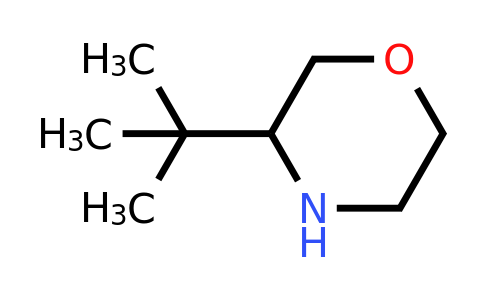 CAS 1260664-66-1 | 3-Tert-butylmorpholine