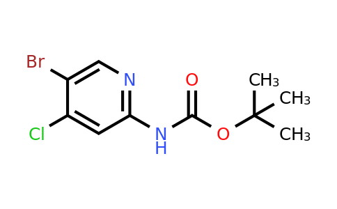 CAS 1260665-10-8 | Tert-butyl 5-bromo-4-chloropyridin-2-ylcarbamate