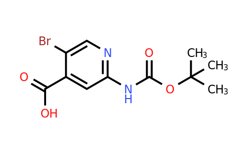 CAS 1260667-43-3 | 5-Bromo-2-[(tert-butoxycarbonyl)amino]isonicotinic acid