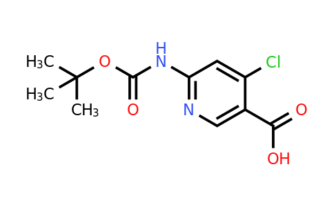 CAS 1260670-99-2 | 6-[(Tert-butoxycarbonyl)amino]-4-chloronicotinic acid