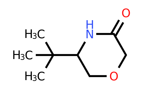 CAS 1260671-20-2 | 5-Tert-butylmorpholin-3-one