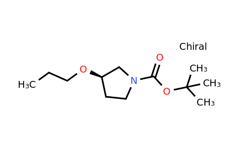 CAS 1260772-18-6 | tert-butyl (R)-3-propoxypyrrolidine-1-carboxylate