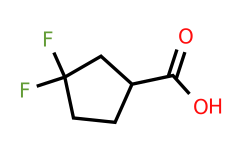 CAS 1260897-05-9 | 3,3-Difluorocyclopentanecarboxylic acid