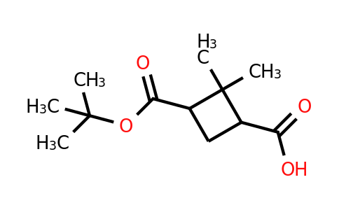 CAS 1261254-62-9 | 3-[(tert-butoxy)carbonyl]-2,2-dimethylcyclobutane-1-carboxylic acid