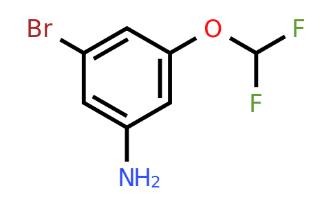 CAS 1261679-26-8 | 3-bromo-5-(difluoromethoxy)aniline