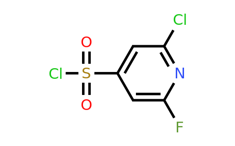 CAS 1261843-23-5 | 2-Chloro-6-fluoropyridine-4-sulfonyl chloride