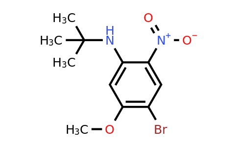 CAS 1261988-45-7 | 4-Bromo-N-(tert-butyl)-5-methoxy-2-nitroaniline