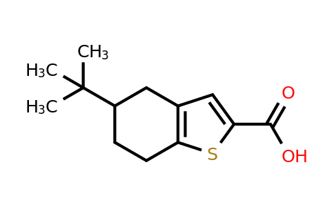 CAS 126231-22-9 | 5-tert-butyl-4,5,6,7-tetrahydro-1-benzothiophene-2-carboxylic acid