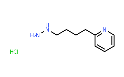 CAS 1263280-29-0 | 2-(4-Hydrazinylbutyl)pyridine hydrochloride