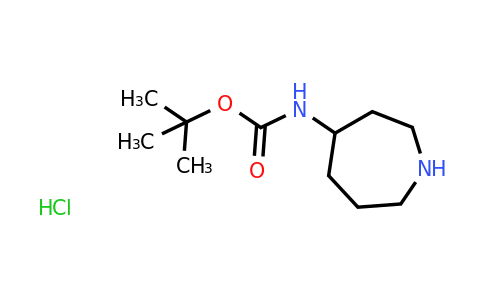 CAS 1263378-54-6 | Azepan-4-yl-carbamic acid tert-butyl ester hydrochloride