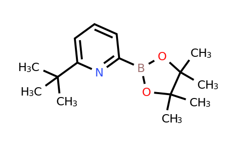 CAS 1264141-60-7 | 6-(Tert-butyl)pyridine-2-boronic acid pinacol ester