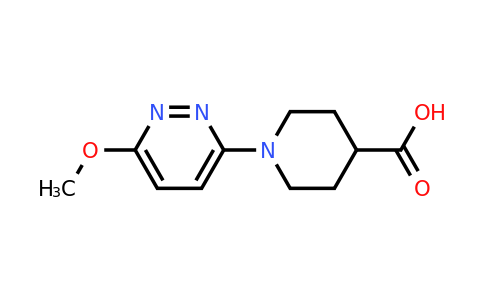 CAS 1268692-83-6 | 1-(6-methoxypyridazin-3-yl)piperidine-4-carboxylic acid
