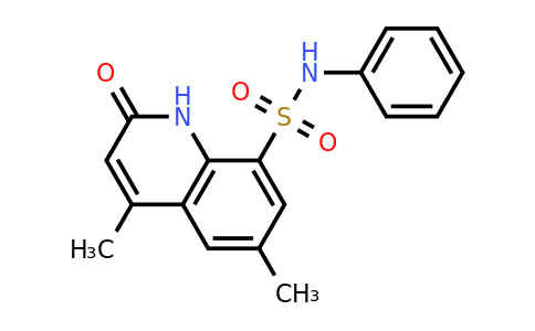 CAS 1269277-75-9 | 4,6-Dimethyl-2-oxo-N-phenyl-1,2-dihydroquinoline-8-sulfonamide