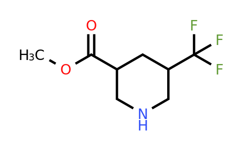 CAS 1269755-53-4 | methyl 5-(trifluoromethyl)piperidine-3-carboxylate