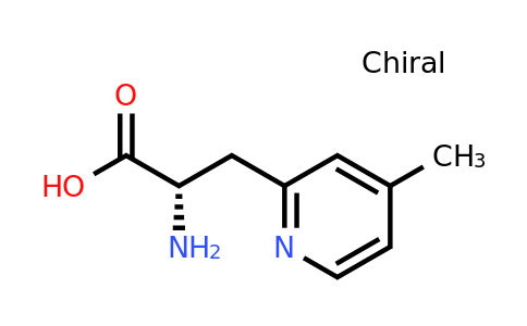CAS 1269925-48-5 | (2S)-2-amino-3-(4-methyl-2-pyridyl)propanoic acid