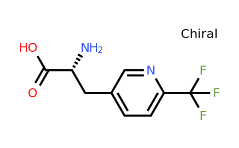 CAS 1270063-01-8 | (2R)-2-amino-3-[6-(trifluoromethyl)-3-pyridyl]propanoic acid