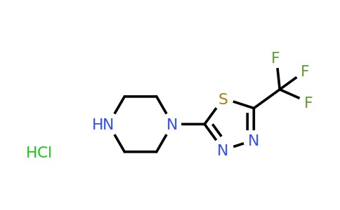 CAS 1271738-67-0 | 1-[5-(trifluoromethyl)-1,3,4-thiadiazol-2-yl]piperazine hydrochloride