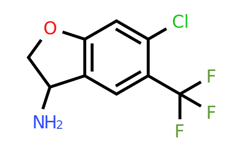 CAS 1273598-63-2 | 6-chloro-5-(trifluoromethyl)-2,3-dihydrobenzofuran-3-amine