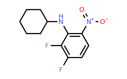 CAS 1273880-11-7 | N-Cyclohexyl-2,3-difluoro-6-nitroaniline