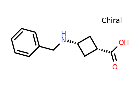 CAS 1274891-82-5 | cis-3-(benzylamino)cyclobutane-1-carboxylic acid