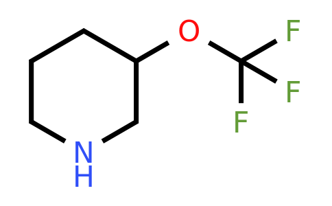 CAS 1274903-50-2 | 3-Trifluoromethoxy-piperidine