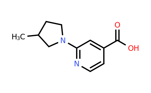CAS 1275694-90-0 | 2-(3-methylpyrrolidin-1-yl)pyridine-4-carboxylic acid