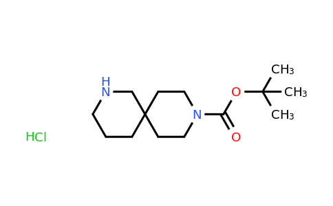 CAS 1279866-58-8 | tert-Butyl 2,9-diazaspiro[5.5]undecane-9-carboxylate hydrochloride