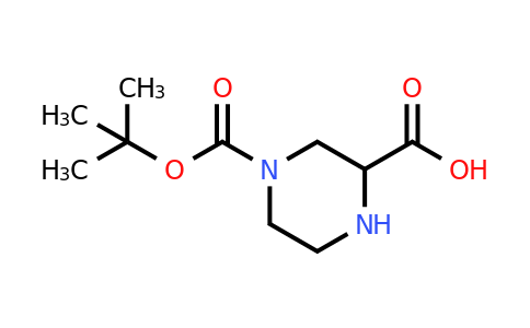 CAS 128019-59-0 | 4-[(tert-butoxy)carbonyl]piperazine-2-carboxylic acid