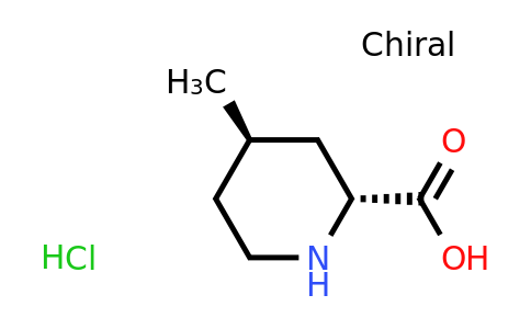 CAS 1280726-95-5 | (2R,4R)-4-Methyl-pipecolinic acid hydrochloride