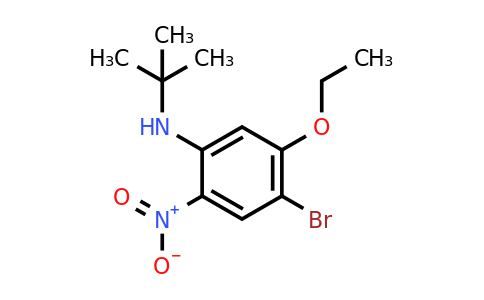 CAS 1280786-66-4 | 4-Bromo-N-(tert-butyl)-5-ethoxy-2-nitroaniline