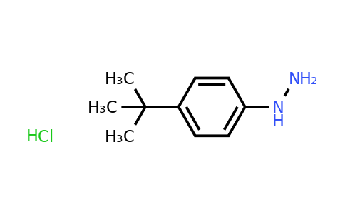CAS 128231-55-0 | (4-(tert-Butyl)phenyl)hydrazine hydrochloride