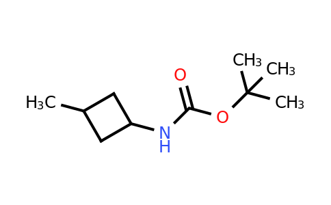 CAS 1284245-14-2 | tert-butyl (3-methylcyclobutyl)carbamate