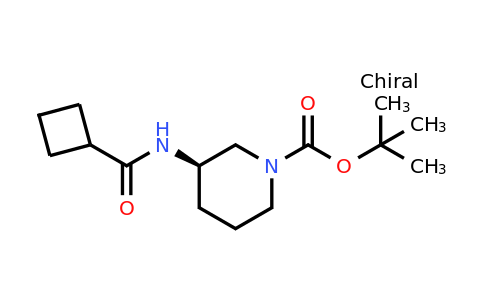 CAS 1286207-13-3 | (R)-tert-Butyl 3-(cyclobutanecarboxamido)piperidine-1-carboxylate