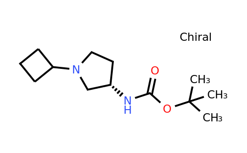CAS 1286208-34-1 | (S)-tert-Butyl (1-cyclobutylpyrrolidin-3-yl)carbamate