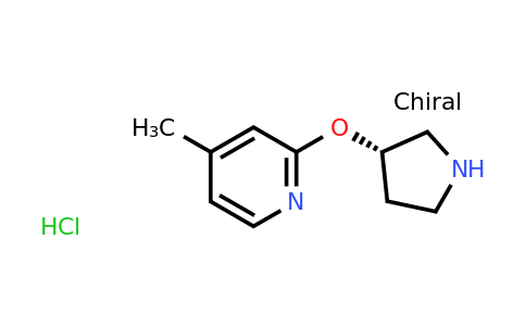 CAS 1289585-53-0 | (S)-4-Methyl-2-(pyrrolidin-3-yloxy)pyridine hydrochloride