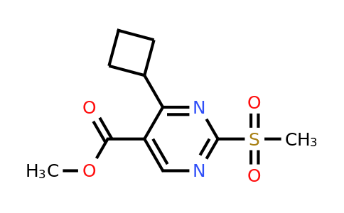 CAS 1292289-41-8 | methyl 4-cyclobutyl-2-(methylsulfonyl)pyrimidine-5-carboxylate