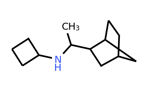CAS 1292426-44-8 | N-(1-{bicyclo[2.2.1]heptan-2-yl}ethyl)cyclobutanamine