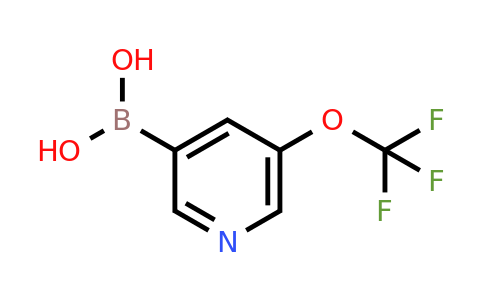 CAS 1293389-50-0 | 5-(Trifluoromethoxy)pyridin-3-ylboronic acid
