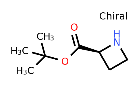 CAS 129740-14-3 | L-azetidine-2-carboxylic acid T-butyl ester