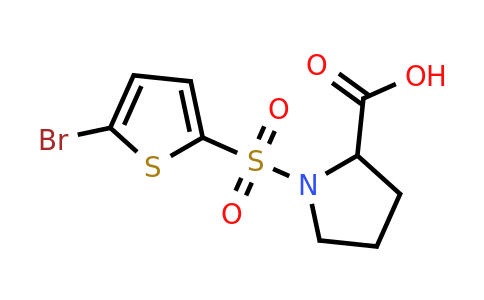 CAS 1301738-60-2 | 1-[(5-bromothiophen-2-yl)sulfonyl]pyrrolidine-2-carboxylic acid