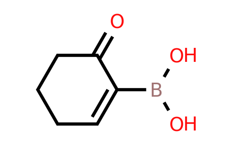 CAS 1303528-05-3 | (6-oxocyclohexen-1-yl)boronic acid
