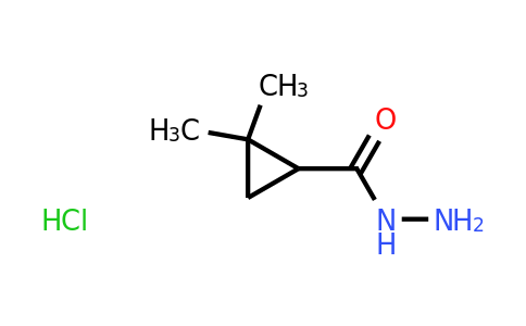 CAS 1303993-90-9 | 2,2-Dimethylcyclopropanecarbohydrazide hydrochloride