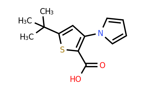 CAS 1305711-48-1 | 5-(tert-Butyl)-3-(1H-pyrrol-1-yl)thiophene-2-carboxylic acid